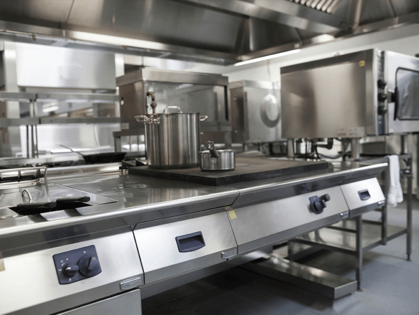 Commercial Kitchen Fly Control Commercial Kitchen Fly Control